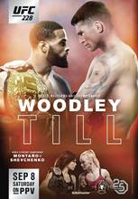 Fight-woodley VS Till-póster de seda para decoración del hogar, póster de 24x36 pulgadas con estampado de película artística de Montano VS shevzheng, 228 2024 - compra barato