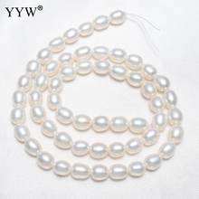 Promote Sales AAA 100% Natural Rice Freshwater Pearl Beads White Rice Shape Beads For Jewelry Making DIY Bracelet Necklace 2024 - buy cheap