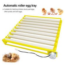 1 Set New 9 tubes Roller Tray Automatic turn eggs Chicken Duck Quail Goose Bird Poultry Eggs Tray Farm Incubation Tools Supplies 2024 - buy cheap