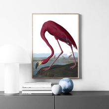 Pintura artística de flamenco y pájaro para decoración del hogar, póster Retro con imagen impresa para sala de estar, dormitorio, estilo nórdico 2024 - compra barato