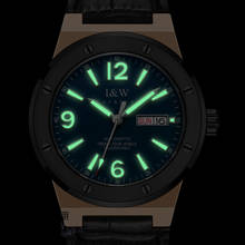 Carnival Brand Luxury Mechanical Watches Fashion Automatic Wristwatches Waterproof Luminous Calendar Clock Men Relogio Masculino 2024 - buy cheap