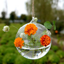 1 PC Transparent Hanging Glass Vase Garden Flower Terrarium Container Bottles Home Decor 2024 - buy cheap