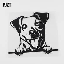 YJZT 15,8 см x 13,4 см веселый Джек Рассел собака счастливый глаз виниловый автомобиль наклейка черный/серебристый 8A-0104 2024 - купить недорого