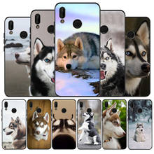 Husky dog black soft Phone Case for huawei P40 P30 P20 P10 Pro lite P9 Lite nova 4E 6SE Psmart 2 2019 Y6 9 Prime cover 2024 - buy cheap
