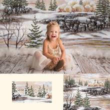Fondos de fotografía de niños recién nacidos invierno nieve chico cumpleaños pintura de fondo óleo recién nacido retrato de bebé telón de fondo 2024 - compra barato