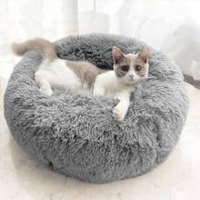 Animais de estimação cama de gato cama de gato cama de gato cama de gato de gato de estimação 2024 - compre barato