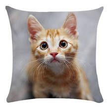 Capa de almofadas decorativas em forma de gato, capa super macia de almofadas com estampa, acessórios de decoração para sala de estar, decoração de casa para cadeira 2024 - compre barato