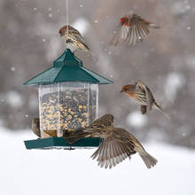 Alimentador de pássaros selvagens, mais novo recipiente de alimentação para pássaros ao ar livre, à prova d'água, gazebo, pendurado, alimentador de pássaros para decoração de jardim, 2020 2024 - compre barato