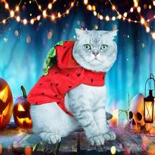 Roupas de gato para halloween, bonito, morango vermelho, animal de estimação, transformação de roupas para gatos, jaqueta de inverno 2024 - compre barato