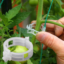 Clips de plástico para soporte de plantas, enredadera colgante para tomate, conecta plantas, invernadero, verduras, adorno de jardín # T2P, 100 Uds. 2024 - compra barato