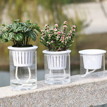 2Pcs Hydroponic Flower Pot Automatic Water Absorption Home Garden Balcony Flowerpot 2024 - buy cheap