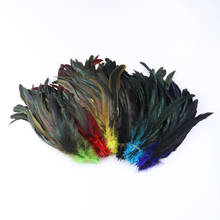 25-30cm colorido de alta qualidade galo penas cauda 100 pces/pacote de plumas de frango para artesanato decoração de casamento roupas acessório 2024 - compre barato