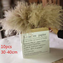 10pcs Length 30-40CM Real Dried Natural Grass Reed Flower,Dry Small Bulrush Bouquet,Pampas Reeds,Home Decoration,Wedding Decor 2024 - buy cheap