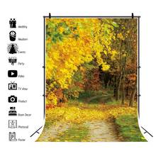 Осенний фон для портретной фотосъемки с изображением леса дерева листьев природы пейзажа 2024 - купить недорого