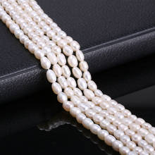 Natural Freshwater Pearls Beaded Meter shape Punch Loose Spacer Beads For Jewelry Making DIY Bracelet Neckalce Accessories 5-6mm 2024 - buy cheap