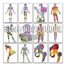 Watercolour 5d Diy Diamond Painting Cross Stitch Diamond Embroidery Male muscular System Full Mosaic Gifts Handmade Craft Decor 2024 - buy cheap