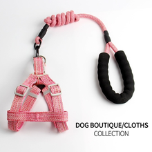 Hot Selling Pet Leash Four Seasons Nylon Dog Harnesses Small And Medium Sized Dog Round Rope Chest And Back Traction Supplies 2024 - buy cheap