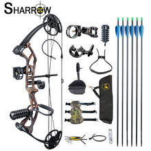 1 Set Archery Bow and Arrow 30-40lbs Compound Bow Crossbow With 6pc Carbon Arrows Professional Complete Accessories for Hunting 2024 - buy cheap