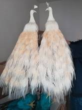 foam&feathers lifelike bird white feathers peacocks large 80cm one pair pastoral handicraft,garden,party decoration gift b1509 2024 - buy cheap
