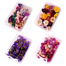 1Box Crystal Epoxy Filler Dry Flower Mixed Nail Stickers Decorations Resin Filling Material Crafts Art Jewelry Making DIY Access 2024 - buy cheap