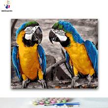 Pintura por números de papagaio diy, pinturas por números com kits 40x50 emolduradas 2024 - compre barato