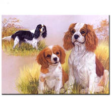 Diy cuadro de diamantes cuadrado completo Cavalier Rey Charles Spaniel bordado de diamantes animal 5d pintura de mosaico de diamantes con diamantes 2024 - compra barato