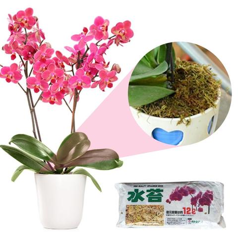 Новый 12л Sphagnum Moss увлажняющее питание органическое удобрение защита Орхидея сочные корни растений DIY цветочный горшок домашний сад 2022 - купить недорого