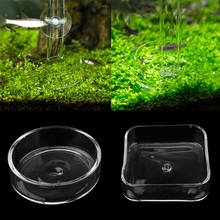 Aquarium   Tank Acrylic Shrimp Food Dish Feeding Feeder Bowl Container 2024 - buy cheap