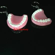 2Pcs Dental Clinic Gift Teeth Model Keychain Dental Keyring Ring Pink 2024 - buy cheap