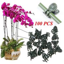 100x Plastic garden clip Special clip for Phalaenopsis Graft clip Plant vine clip Orchid Stem Vine Support Bundle Gardening Tool 2024 - buy cheap