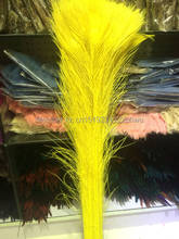 New! Free shipping wholesale 100 pcs / lot high-quality yellow peacock feathers, 75-80cm / 30-32 "DIY jewelry decoration 2024 - buy cheap