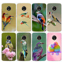 lovely birds Phone Case For Motorola Moto G9 G8 G7 G6 G5S E6 E5 Plus Power Play + EU One Action Macro Vision Cover 2024 - buy cheap