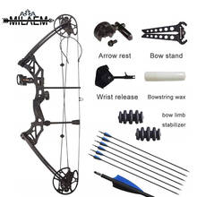 Archery Compound Bow Kit 30-70 lbs Adjustable IBO 320fps Outdoor Powerful Shooting Bow with 6 Carbon Arrows Hunting Accessories 2024 - buy cheap
