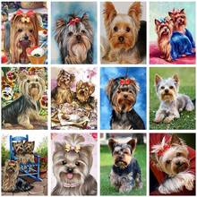 5D DIY Diamond Painting Dog Yorkshire Terrier Dog's Picture Mystery Diamond Mosaic Embroidery Art Wall Decoration 2024 - buy cheap