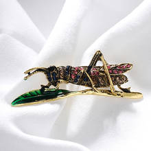 Enamel Rhinestone Grasshopper Vintage Insect Brooch Pin Sweater Gift Brooch 2024 - buy cheap