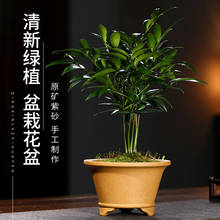 Yixing-maceta de arena púrpura de alto grado, maceta gruesa de cerámica de boca redonda, maceta Retro Simple para interior, suculenta, verde de Banyan alféizar, maceta de Pla 2024 - compra barato