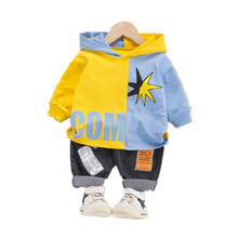Fashion Children Boys Girls Cotton Clothing Sets Spring Autumn Baby Hoodies Pants 2Pcs/Set Kids Casual Clothes Toddler Tracksuit 2024 - buy cheap