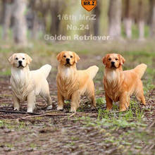 Golden Retriever-modelo de Juguete para perro, figura de acción de 12 pulgadas, escala 1/6, figura de soldado, colección de accesorios de escena 2024 - compra barato
