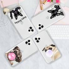 Cute dog puppy Pug Bulldog blowing balloon Phone Case Transparent soft For iphone 5 5s 6 6s 7 8 11 12 plus mini x xs xr pro max 2024 - buy cheap