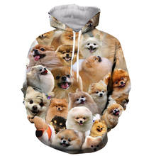 New arrive cut pomerania dog men women 3D printing Gothic fashion hoodies/Zipper hoodie/ sweatshirts 2024 - buy cheap