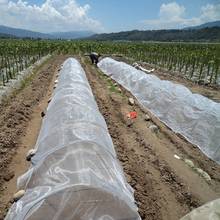 Red de malla para Control de plagas de invernadero, red antiaves para el cuidado de las frutas, red antiinsectos para jardín, 14/20 m/lote, 10 m/lote 2024 - compra barato