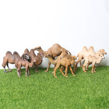 Реалистичная ручная роспись Дикая природа Bactrian Camel, одиночная игрушка верблюд фигурка модель животные из зоопарка семейный набор развивающие игрушки 2024 - купить недорого