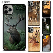 STUNNING DEER Animal Case For iPhone 12 Pro Max 13 mini XR X XS Max 11 Pro Max 5S 6S 8 7 Plus SE 2020 Cover 2024 - buy cheap