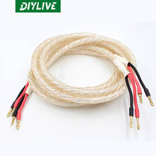 Diylive hi-fi original liton liton LT-180A fio alto-falante banana chifre fio terminado 2.5 metros 2024 - compre barato