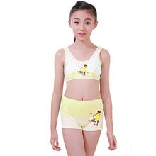 Buy Kids Clothing Puberty Young Girls Cozy Undies Teenagers Cotton Yoga  Underwear Set Training Bras Camisole Vest Top+Panties in the online store  Mamii center Store at a price of 7.52 usd with