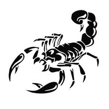 1pc 30CM New 3D Scorpion Car Stickers Black/white Car-Styling Sticker for Cars Decoration DIY Car Accessaries 2024 - buy cheap