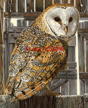 owl Animal oil painting Art Needlework 14CT Canvas Unprinted Handmade Embroidery Cross Stitch Kits DIY Home Decor 2024 - buy cheap