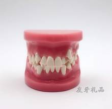 Dental correction model orthodontic practice model oral Viscosity orthodontic model 2024 - buy cheap