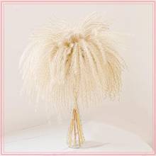 40cm Natural Dried Flower Reed Flower Bouquet For Home Decor Small Pampas Grass Wedding Dry Flower Phragmites Flower Bunch 2024 - buy cheap