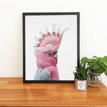 Nordic impressão cockatoo pássaro australiano cartaz da arte da parede pintura em tela animal australiano moderno fotografia imagem do berçário decoração 2024 - compre barato